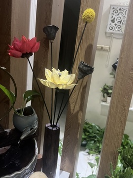 ゞ小木木主播照片