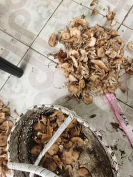 聆听~爱唱歌主播照片