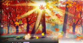 可馨✿一二布布主播照片
