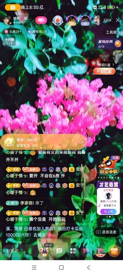 婷婷💕求升级的图片