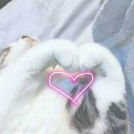 小灵鹤祝猛男荣升神帝主播照片