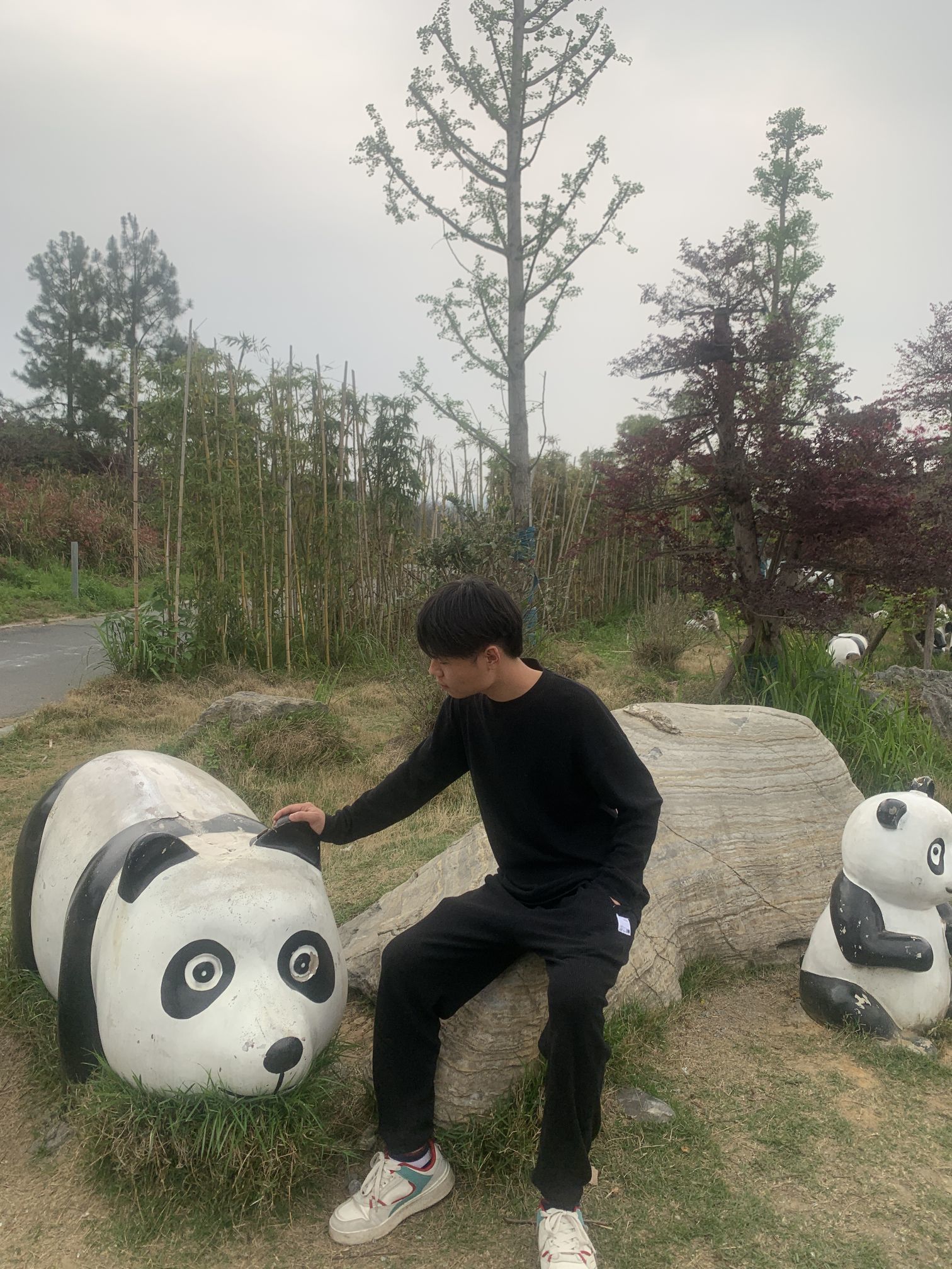 大宝贝YY的图片