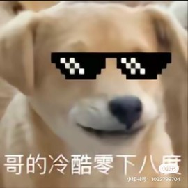 双全法的图片