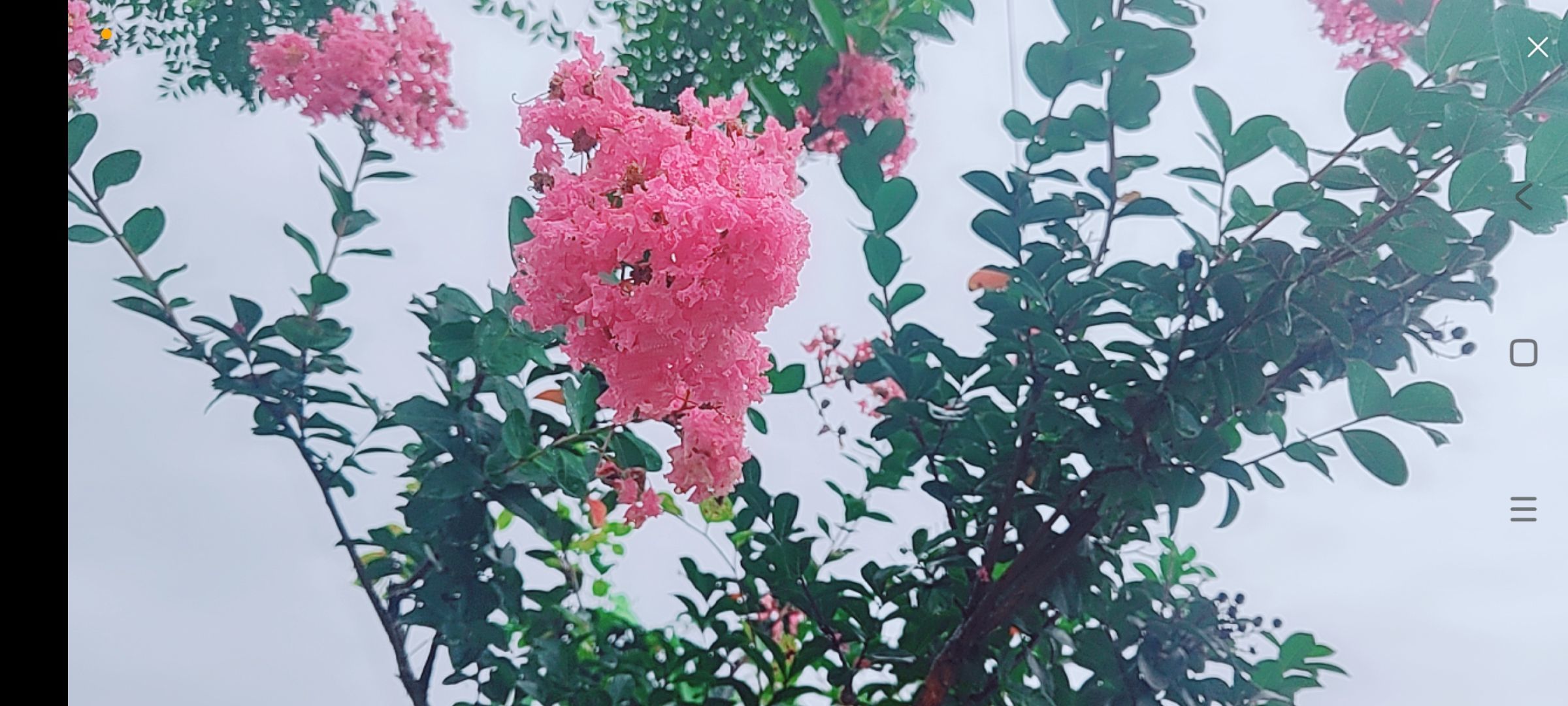 婷婷💕感恩有你陪伴的图片