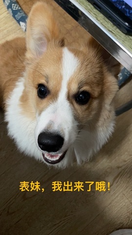 ゞ惟有清风知我意丶主播照片