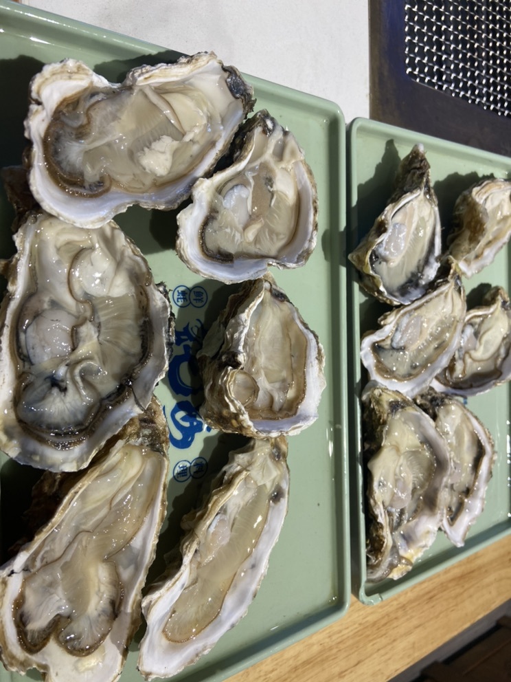 斯图卡王牌的主播照片