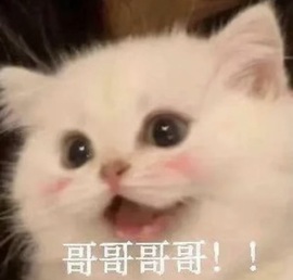 洋子～晚点见主播照片