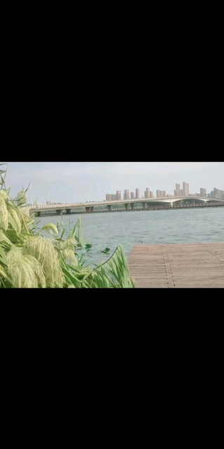 早安丫/胜利/胜利/