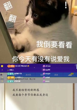 谁的糖。主播照片