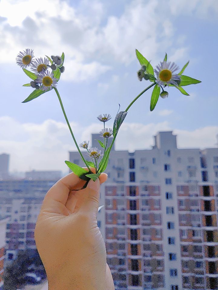 婷婷💕感恩有你陪伴的图片