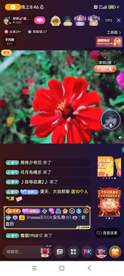 婷婷💕求升级的图片