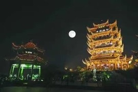 『儒◆楓』゛葑筆停書的图片