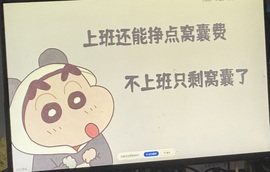 安胖胖💕7300主播照片