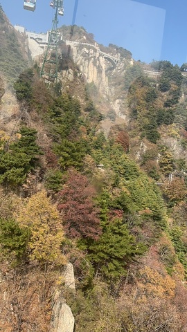 蜜密爱直播想升级💐的图片