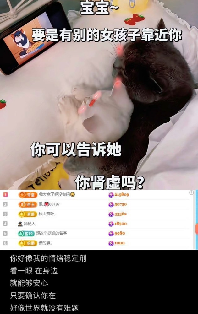 谁的糖。的图片