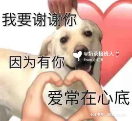 雪児驾到停播主播照片