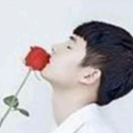 《王道》回归的图片