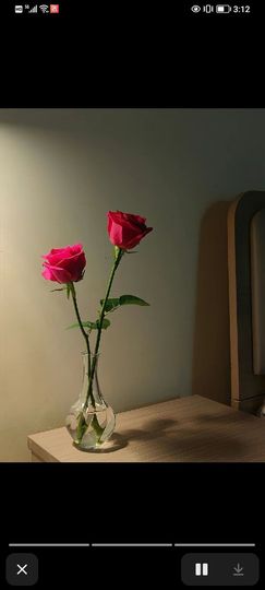 果果(平安好运)主播照片
