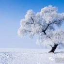 风中漫步u