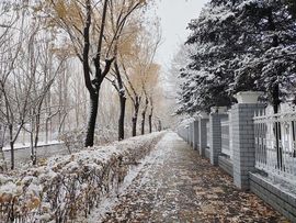 热热热热热热还是热主播照片