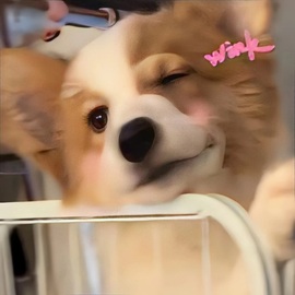 🦄嘿嘿主播照片
