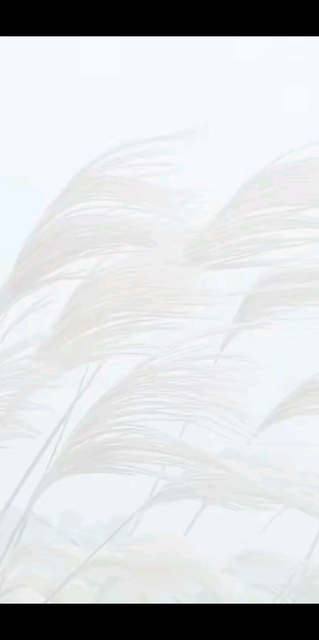 分享今日快乐