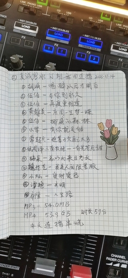 广西壮族姑姑主播照片