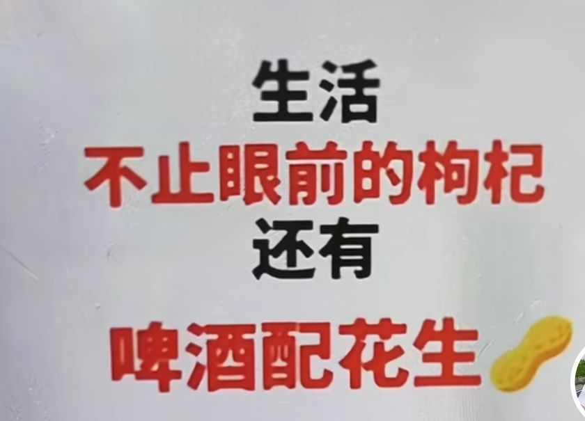 丑小鸭💞愿有一束光的图片