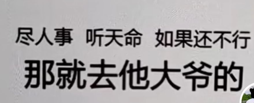 丑小鸭💞愿有一束光的图片
