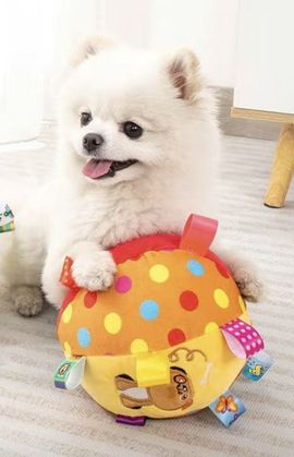 骑白马的小王子主播照片