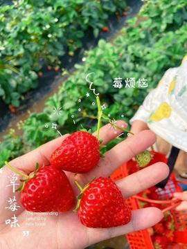 雪児驾到停播主播照片