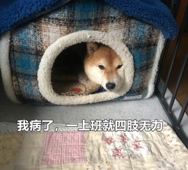 抱抱馨💌主播照片