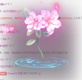 初见💋梦主播照片