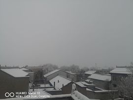 陌上╰.╯花开ღ的图片
