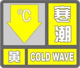 （杨）今天来碗面条主播照片