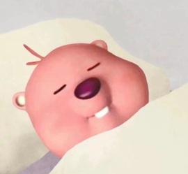 安二狗🐶主播照片