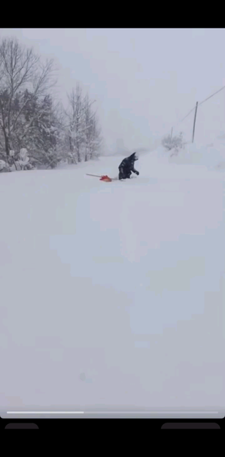 雪窝子，逮着一次猛下