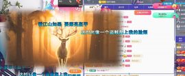 应应晚点见主播照片