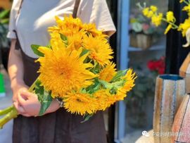 September★主播照片