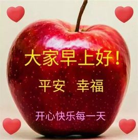 小芳，🌸减肥打卡的图片