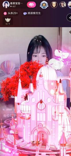 菜宝儿主播照片