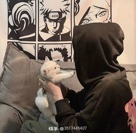 晴川的小跟班主播照片