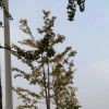 爱自己多一点4