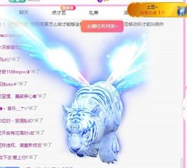 喵崽小花猫的图片
