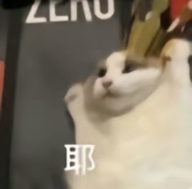 初遇欣颜主播照片