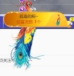 五十次风速主播照片