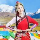 幸福人生阳光保险顾问