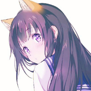 去爱晚风