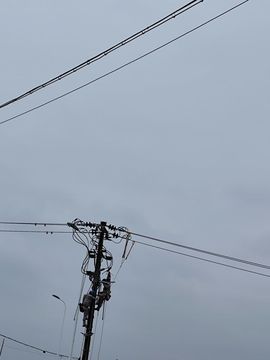 温暖宝宝💰钱多多主播照片