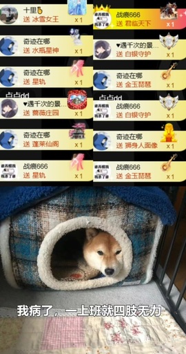 抱抱馨💌主播照片